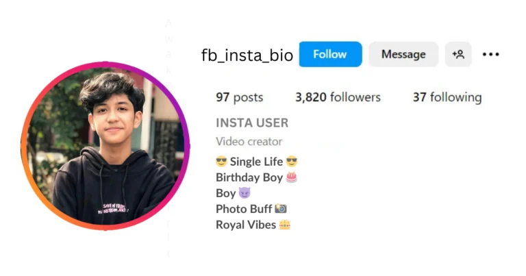 VIP Instagram Bio Attitude is visible in this image.