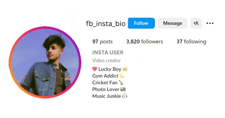 VIP Instagram Bio Girl Stylish Font is visible in this image.