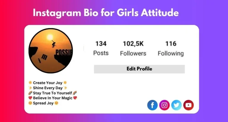 This image is about Instagram Bio for Girls Attitude