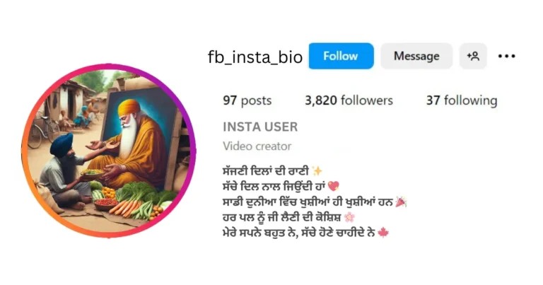 Instagram Bio for Punjabi Gurbani in Punjabi is visible in this image ​