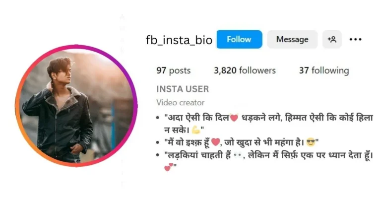 This image of Instagram bio for attitude boy in hindi stylish font