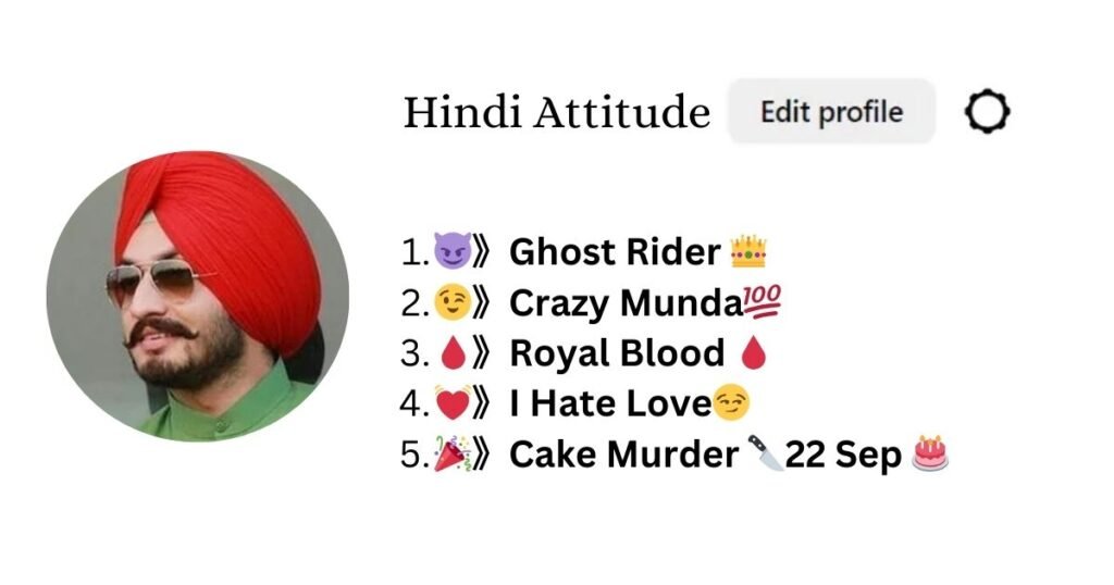 Best Instagram Bio Hindi Attitude