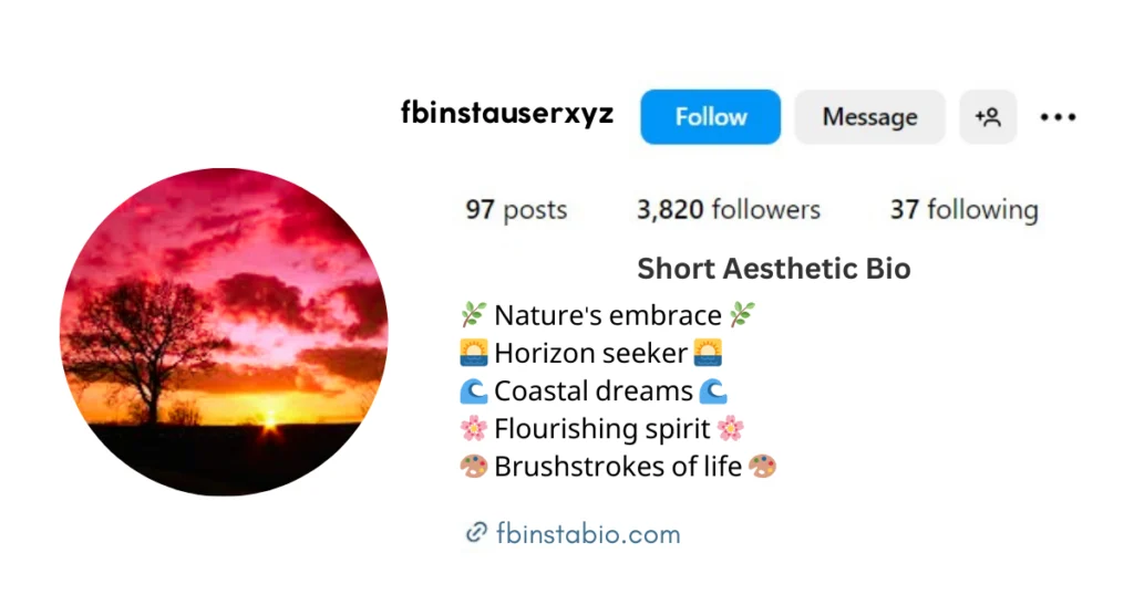 short aesthetic bio