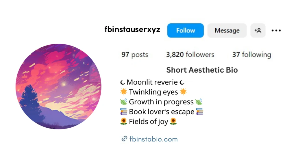 short aesthetic bio