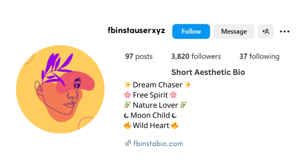 Short Aesthetic Bio in Boho Chic style