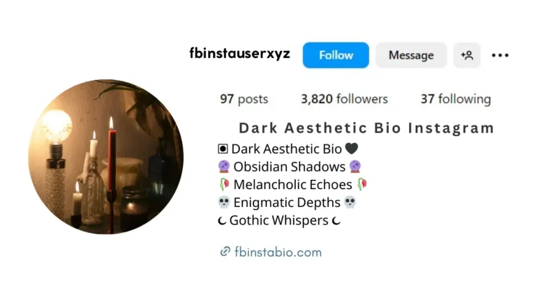 This image is about Dark Aesthetic Bio Instagram Ideas.