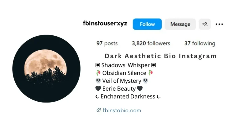 Dark aesthetic bio for Instagram with a mysterious and enigmatic vibe.