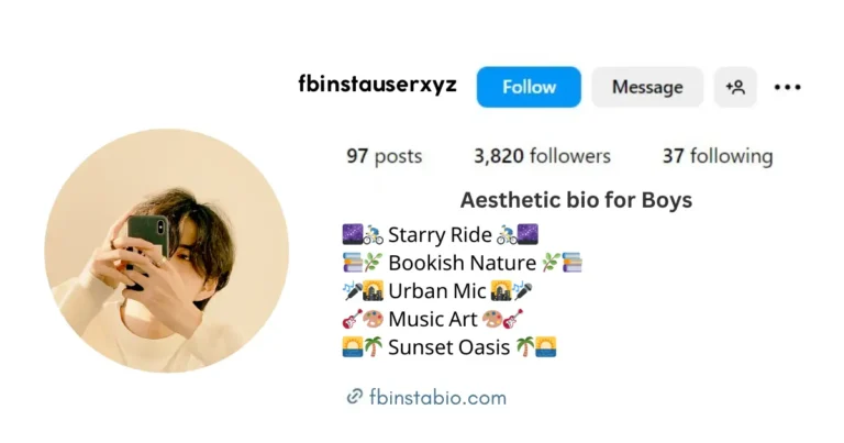 Aesthetic Bio for Boys