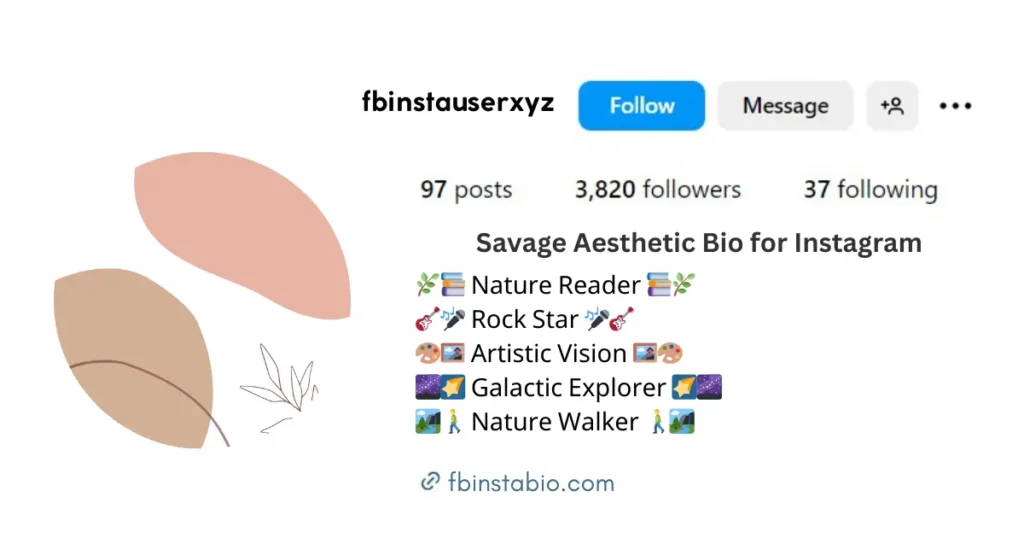 Minimalistic Savage Aesthetic Bio Layout