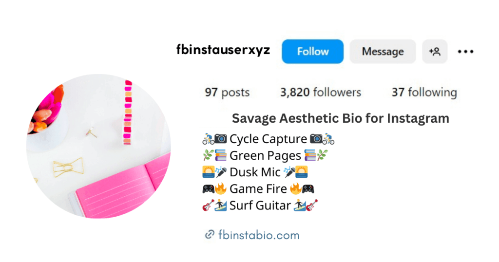 Colorful Savage Aesthetic Bio for Instagram: Inspiration