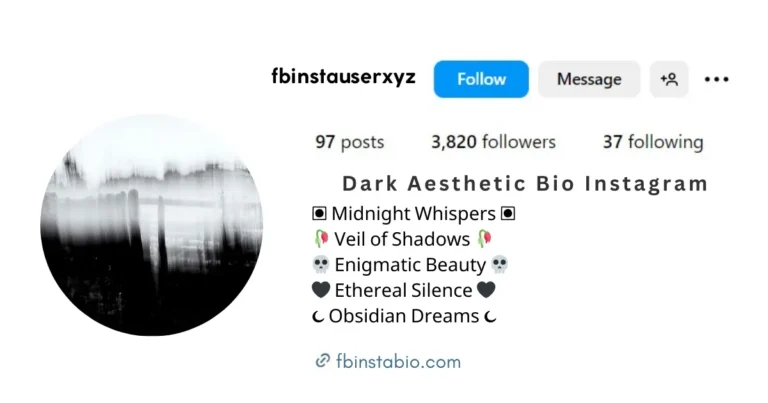 This image is about Dark Aesthetic Bio Instagram Ideas.