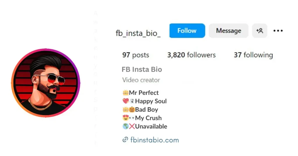 Instagram VIP Bio