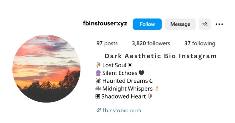 This image is about Dark Aesthetic Bio Instagram Ideas.