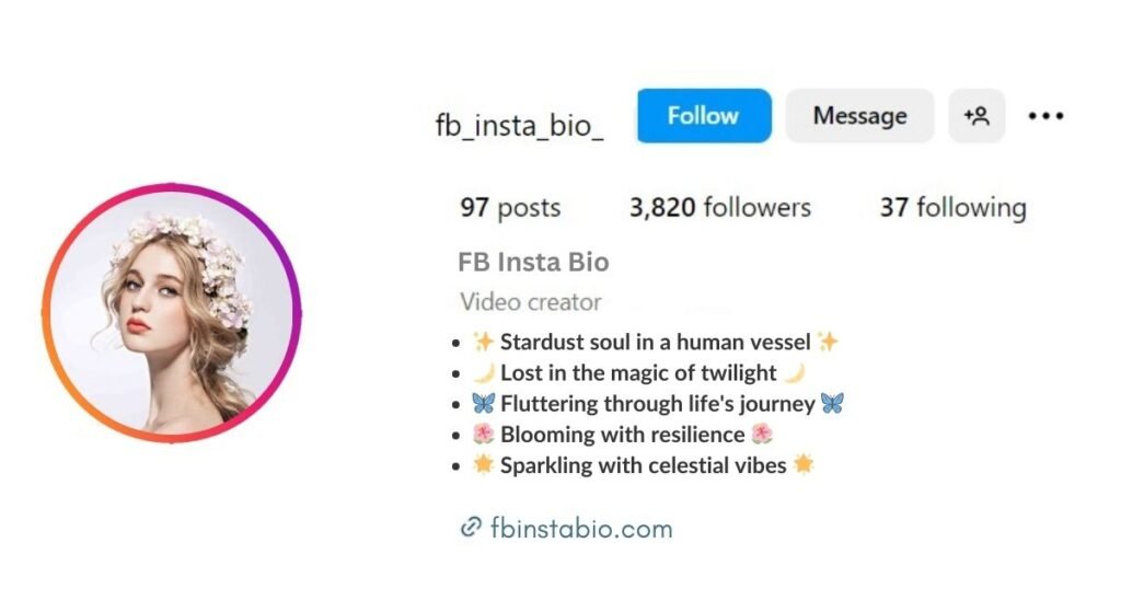 Aesthetic Bio for Instagram for Girl Attitude