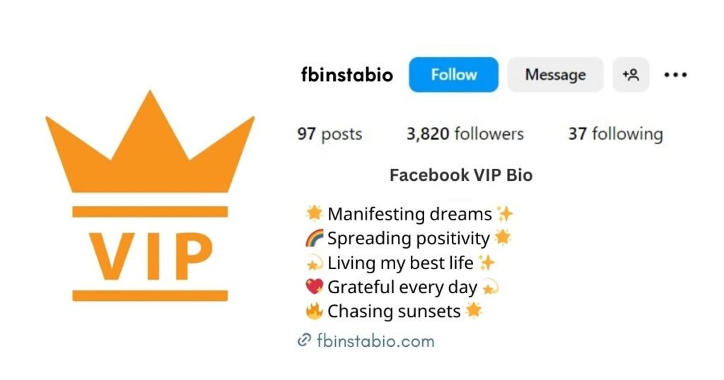 instagram vip bio stylish font