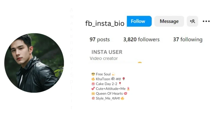 Instagram Bio Font Style For Boys is visibal in this image .