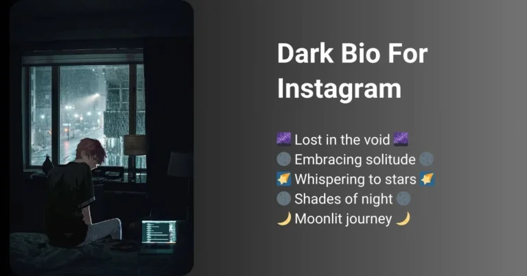 This picture is about Dark bio for instagram.