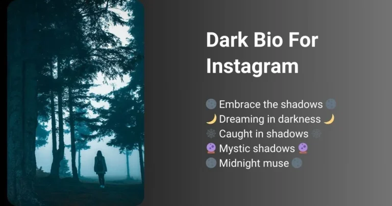 This picture is about Dark bio for instagram.