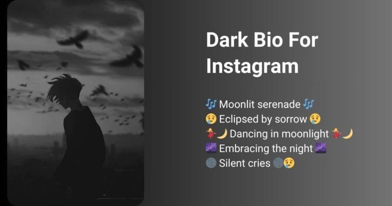 This picture is about Dark bio for instagram.