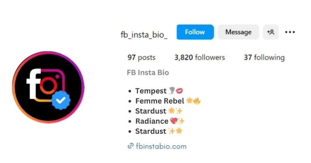 Savage Aesthetic Bio for Instagram for Girl Simple