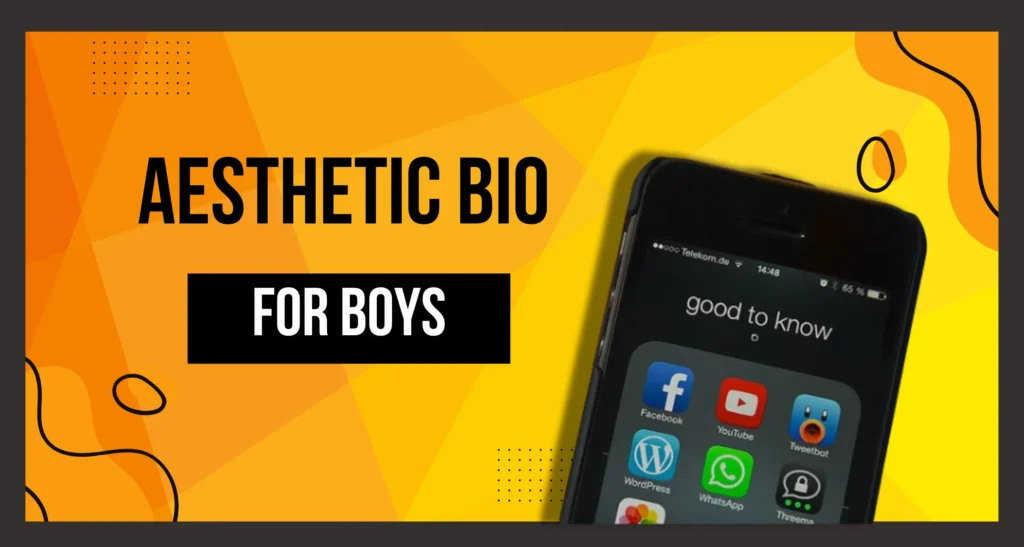 Minimalist black and white design with text 'Aesthetic Bio for Boys' in stylish fonts.