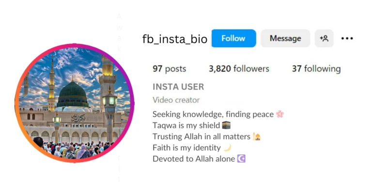 Islamic Bio For Instagram For Boy In English is visible in this image.