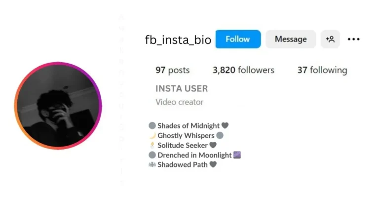 This image is about Simple Dark Bio for instagram.