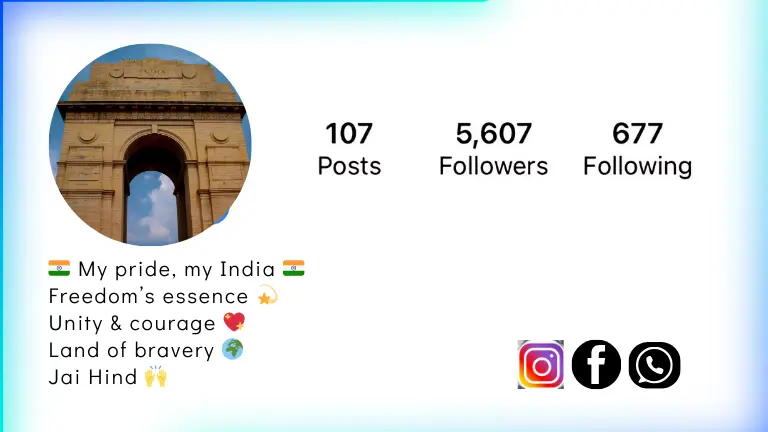 Instagram Bio Example 4 - Bringing a touch of India with cultural elements