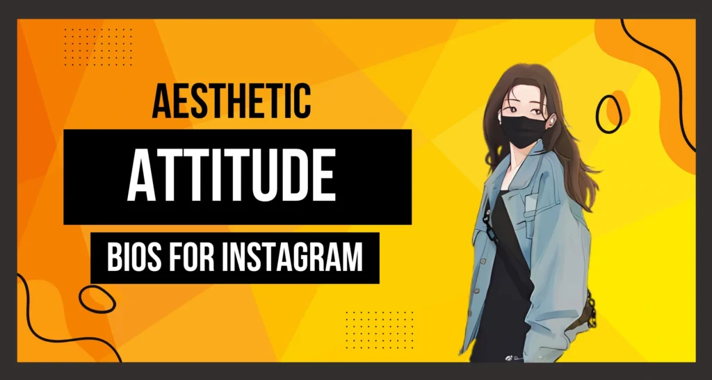 This image is about Aesthetic Attitude Bio for Instagram.