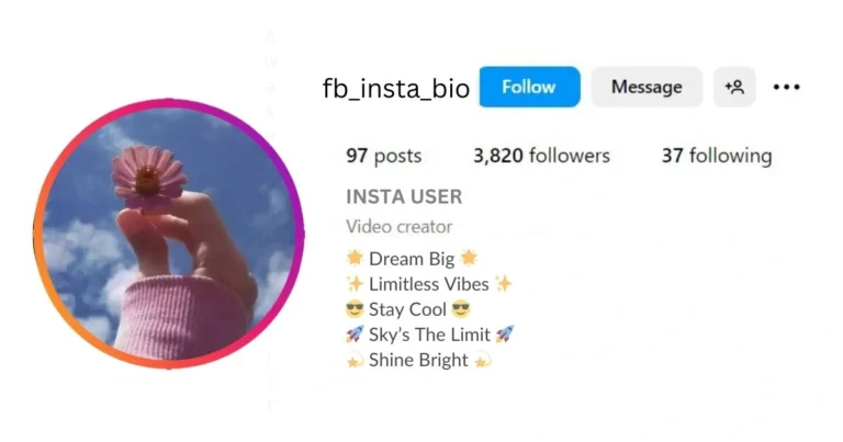 This image is about Aesthetic Attitude Bio for Instagram for Boy.