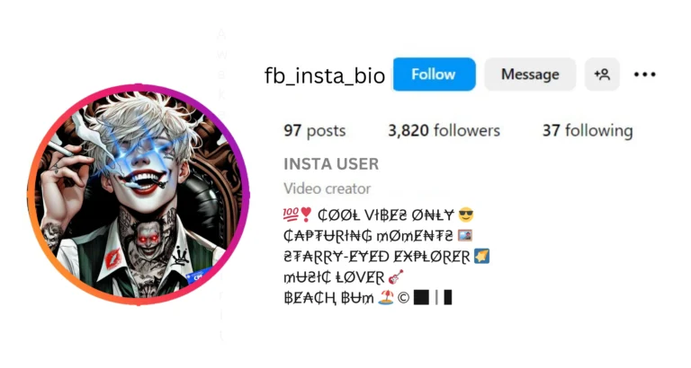 Aesthetic Instagram Stylish Bio for Boys is visible in this image.