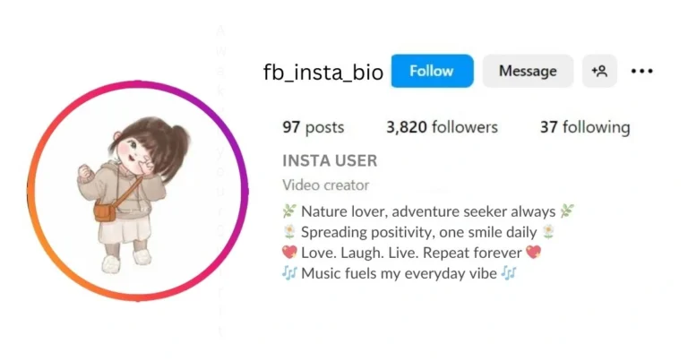 Amazing instagram bio is visible in this image.