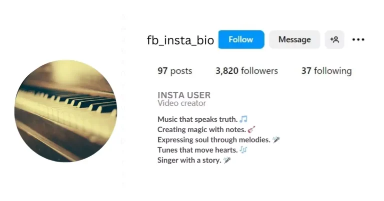 Music Bio for Instagram is Visible in This image.