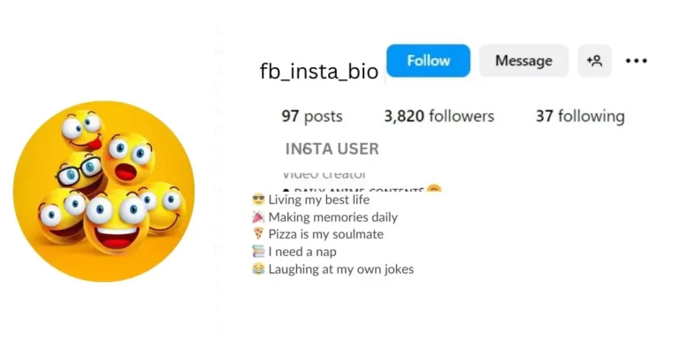 This image is about Best Funny Instagram Bio for Boy.