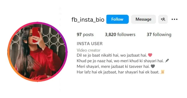 This image depicts "Bio for Instagram Shayari Page for Boy"