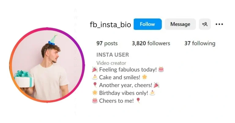 Funny Instagram Bio for Brithday In this image is visible.