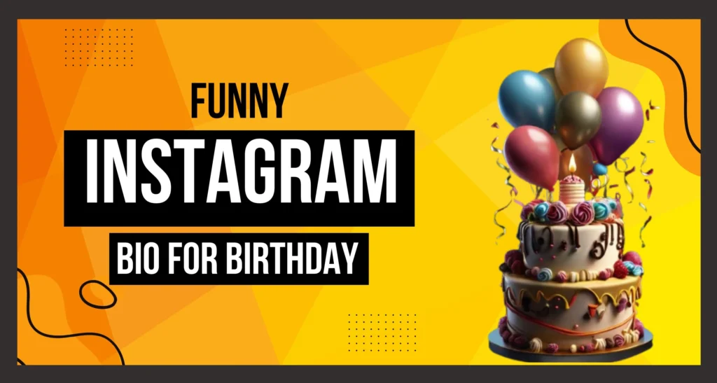 Funny Instagram Bio for Brithday In this image is visible.