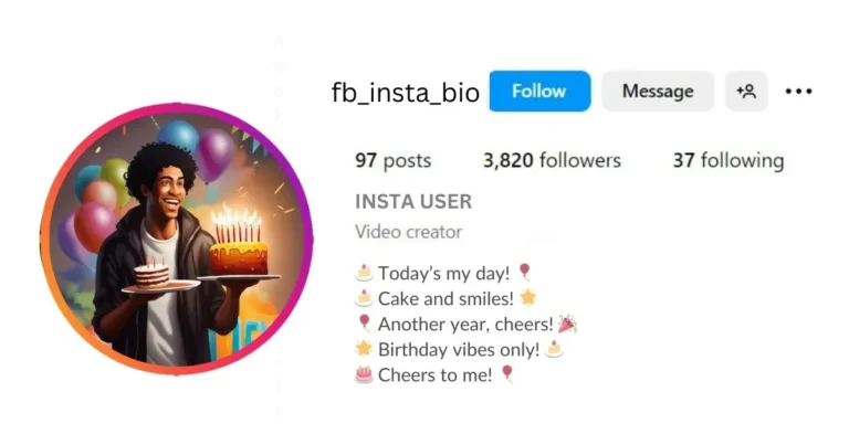 Funny Instagram Bio for Brithday In this image is visible.