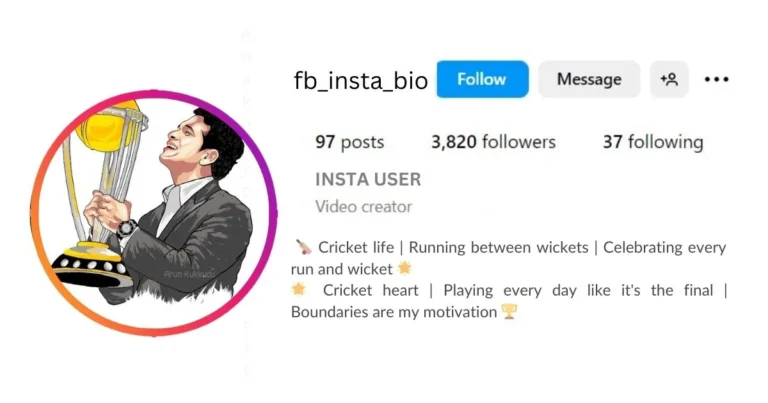 Insta bio for cricket Lovers stylish font is visible in this image.