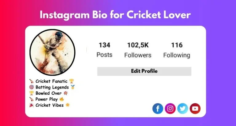 This image is about Instagram Bio Cricket Lover