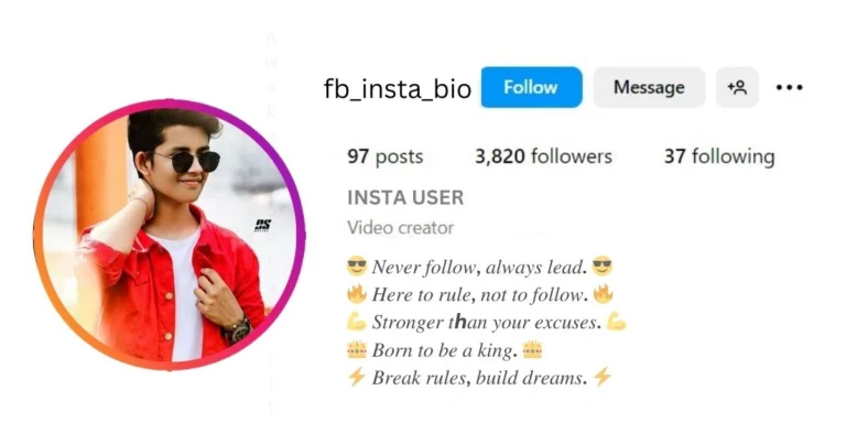 This image of Instagram Bio Font Style for Boy Stylish .