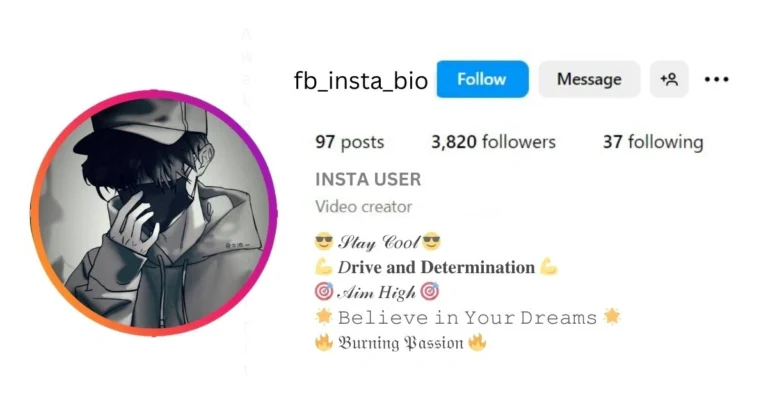 This image of Instagram Bio Font Style for Boy Attitude.