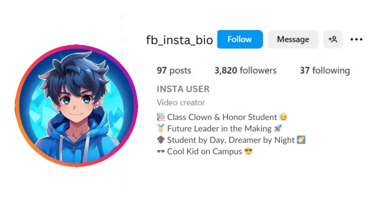 Instagram Bio For School Boy Attitude is visible in this image.