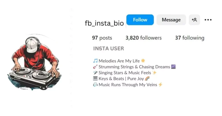 This image is about Music lover stylish bio for instagram.