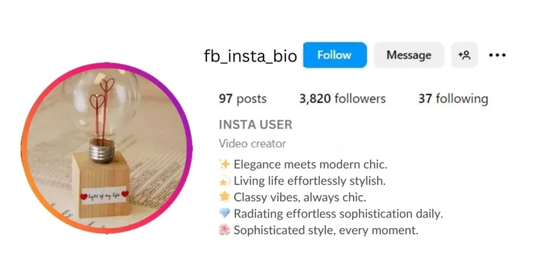 Professional Instagram Bio Ideas Is visible in this image.