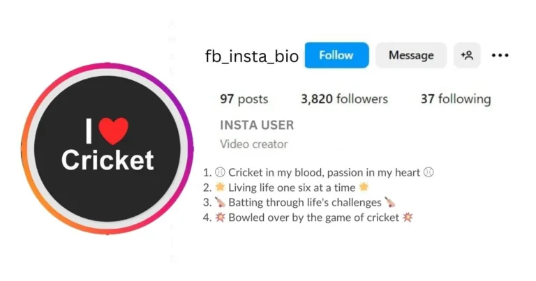 Stylish Bio for Cricket Lover is visible in this image.