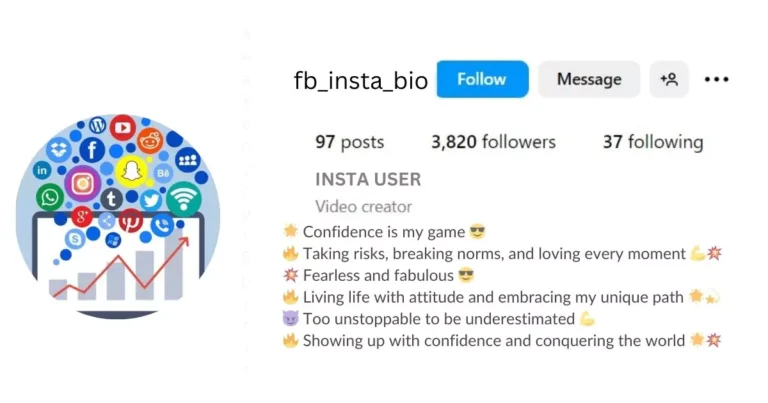 This image is about Stylish Long Bio with Emoji.