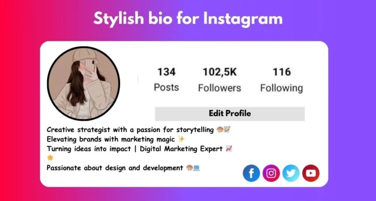 This image depicts "stylish bio for instagram"