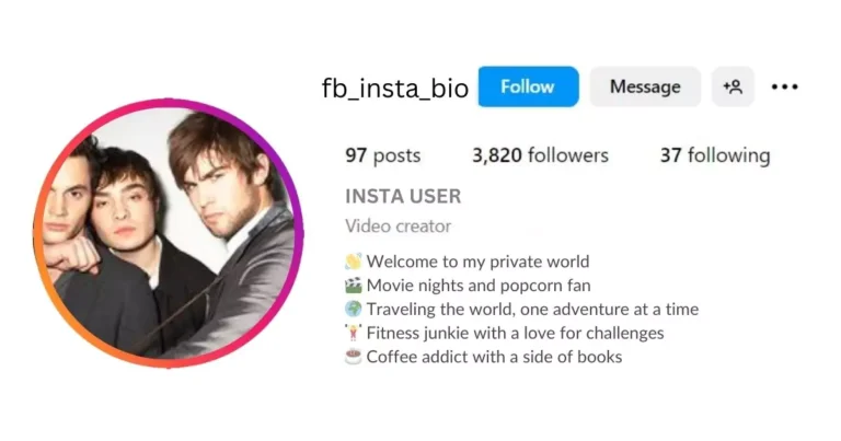 Private Insta Account Bio for Boy Is visible in this image.