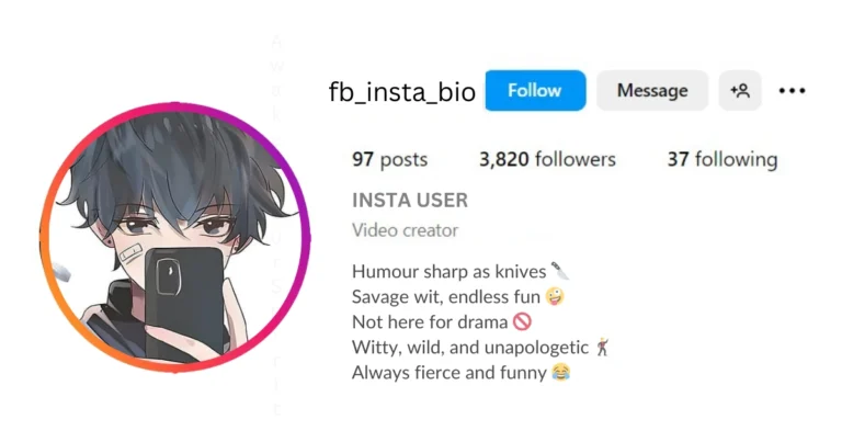 Savage and Funny Instagram Bio is Visible in this imag.